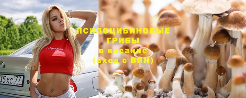 магазин    Воронеж  Псилоцибиновые грибы MAGIC MUSHROOMS 